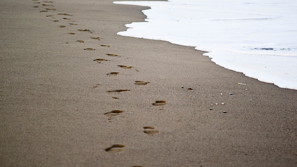 Footprints with my boss post image