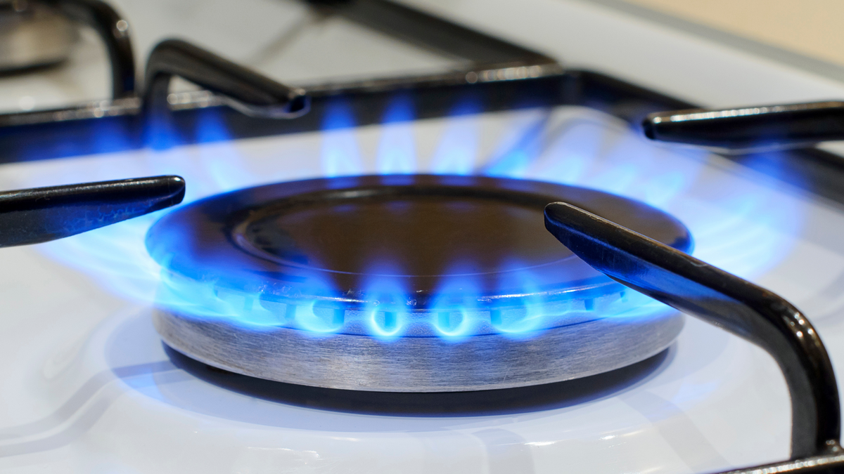 What does it mean when someone says "Put it on the back burner"?